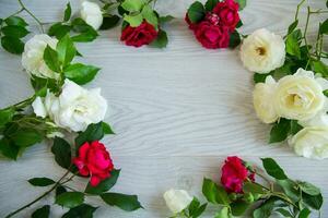 background of many red roses on a light wooden photo