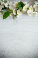 Wooden background with blooming white jasmine and empty space photo