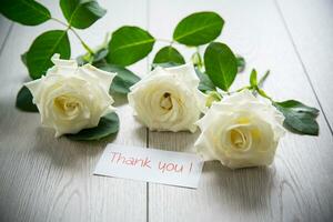 background of many white roses on a light wooden photo