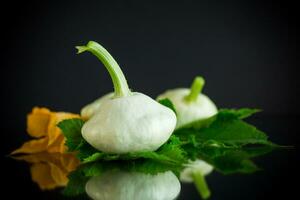 fresh organic squash isolated on black background photo