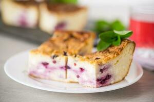 cooked cottage cheese casserole with berry filling in a plate photo