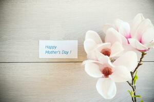 Branch with blooming pink Magnolia flowers on wooden background photo