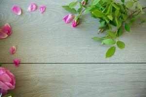 Floral background of pink and white roses on a light wooden photo