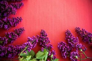 The beautiful lilac on a wooden background photo