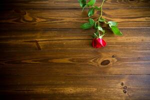 uno rojo hermosa floreciente Rosa en un de madera mesa foto