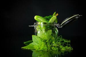 a set of products for pickling cucumbers photo