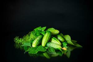 a set of products for pickling cucumbers photo