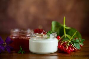 Prepared homemade yogurt with viburnum jam and viburnum . photo