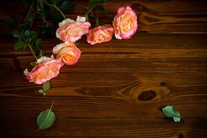 Floral background of pink roses on a dark wooden photo