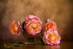 Beautiful blooming yellow and pink rose flowers. photo