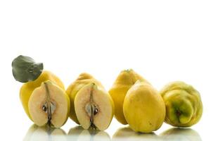 Ripe natural autumn quince on a white background. photo