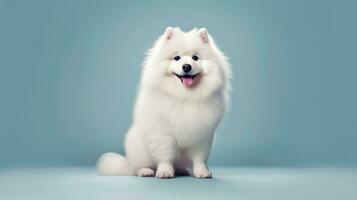 Fluffy Pet Grooming - Cute Dog after the Salon - Generative AI photo