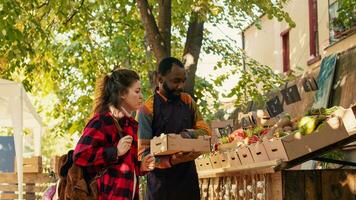 Team of diverse farmers preparing food market stand with fruits and veggies in boxes, selling homegrown natural products. Young people displaying various organic fresh bio produce. photo