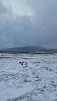 Wintry landscape with frosty fields in icelandic region, massive snowy mountains hilltops and frozen lands. Winter wonderland roadside landscape with highlands and hills. photo