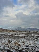 Snowy mountains and wintry pastures in iceland nature, beautiful nordic scenery covered in snow. Fantastic massive rocky mountaintops and brown frosty fields alongside countryside. photo