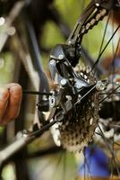 Closeup of person repairing bicycle parts with professional tool in home yard. Detailed shot of bike rear derailleur and cogset being repaired and adjusted using specialized barrel adjuster. photo