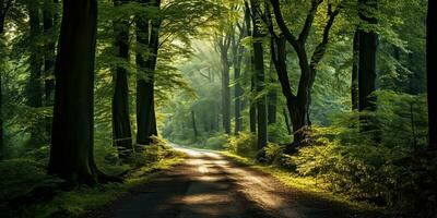 ai generado. ai generativo. al aire libre naturaleza aventuras bosque caminar camino la carretera aventuras antecedentes. gráfico Arte foto