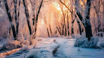 Scenic Snowy Forest Bathed in Sunlight - Generative AI photo