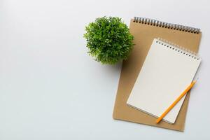 Modern office desk table with notebook and other supplies with green tree. Blank notebook page for you design. Top view, flat lay photo