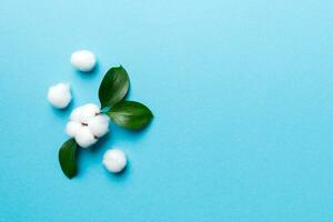 Autumn Floral Flat lay background composition. Dried white fluffy cotton flower branchwith green leaf top view on colored table with copy space photo