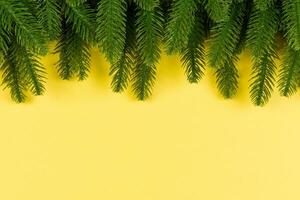 Top view of frame made of fir tree on colorful background with copy space. Merry Christmas concept photo