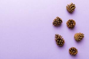 Christmas pine cones on colored paper border composition. Christmas, New Year, winter concept. Flat lay, top view, copy space photo
