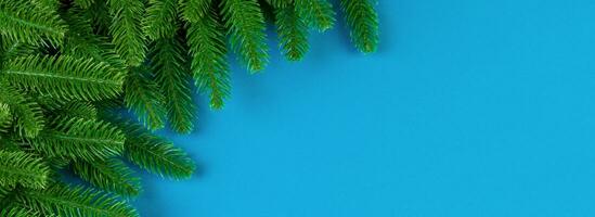 Top view Banner of colorful festive background made of fir tree branch. Christmas holiday concept with copy space photo