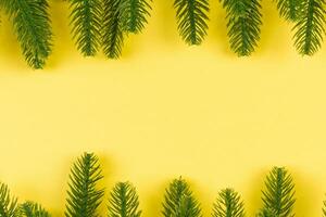 Top view of colorful festive background made of fir tree branch. Christmas holiday concept with copy space photo