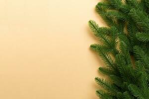 Christmas holiday background with copy space for advertising text. Fir branches on color background . Flat lay, top view photo