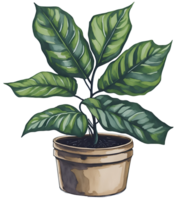 Watercolor House plant in pot. Generative AI png