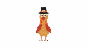 Cartoon Turkey in a pilgrim hat character animation. Video flat cartoon animation design element. 4K video footage, alpha channel transparency