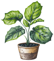 Watercolor House plant in pot. Generative AI png