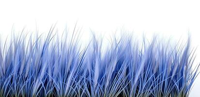 Blue fescue grass border isolated on white background ai generated photo