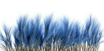 Blue fescue grass border isolated on white background ai generated photo