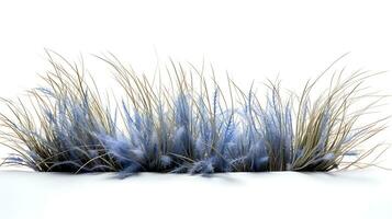 Blue fescue grass border isolated on white background ai generated photo
