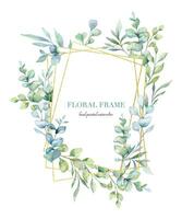 Eucalyptus Watercolor Frame. Eucalyptus Greenery Frame Hand Painted isolated on white background.  Perfect for wedding invitations, floral labels, bridal shower and  floral greeting cards vector