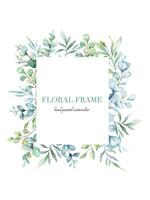 Eucalyptus Watercolor Frame. Eucalyptus Greenery Frame Hand Painted isolated on white background.  Perfect for wedding invitations, floral labels, bridal shower and  floral greeting cards vector