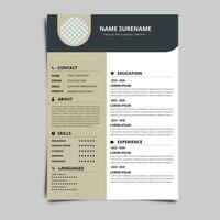 Professional Resume CV vector Graphic Templates