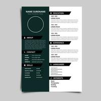 Professional Resume CV vector Graphic Templates