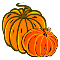 Autumn illustration of two orange round ripe pumpkins. Digital illustration for your design,  decorating invitations and cards, making stickers, embroidery scheme,  printing on packaging and textiles. png