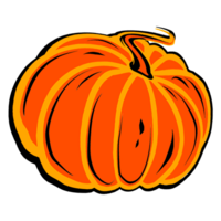 Autumn illustration of orange round ripe pumpkin. Digital  illustration  for your design, decorating invitations and cards, making stickers, embroidery scheme,  printing on packaging and textiles. png
