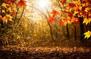 autumn maple leaves background with copy space ai generated photo