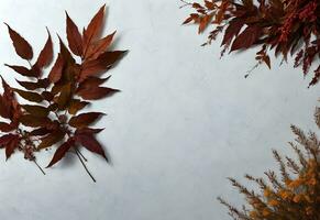 autumn leaves flat lay in white background with copy space ai generated photo