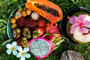 tropical frutas de Asia región Tailandia en césped foto