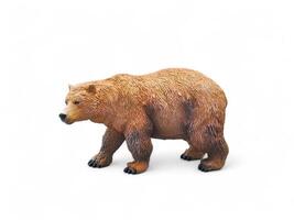 Brown bear Miniature animal on white background photo