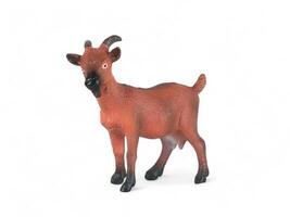 Miniature animal brown goat on white background photo