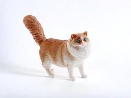 Brown white cat miniature animal on white background photo