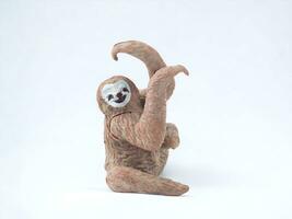miniature animal sloth on white background photo