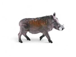 wild boar miniature animal on a white background photo