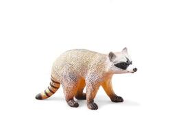 Miniature animal white raccoon on white background photo